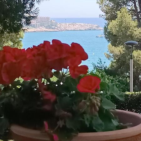 Beach & Flowers Free Parking Salou Buitenkant foto